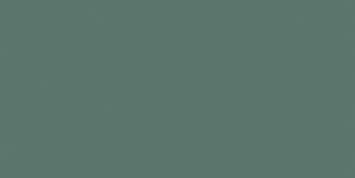 фон Rare And Unique Leaf Matt 60x120
