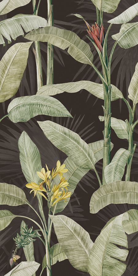 Imagine Botanical Imgn 60X120 матовая