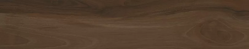 Savanna Brandy Ret 100X20 матовая