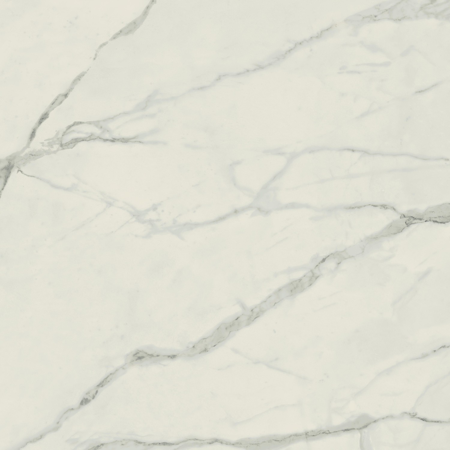 Empire Statuario Rett 80X80 матовая