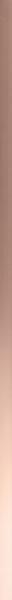 бордюр 4D Profile Gold Rose 2x80