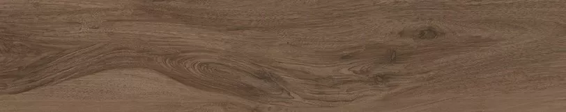 Savanna Cinnamon Ret 100X20 матовая