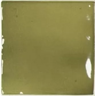 Manacor Basil Green  10X10 глянцевая