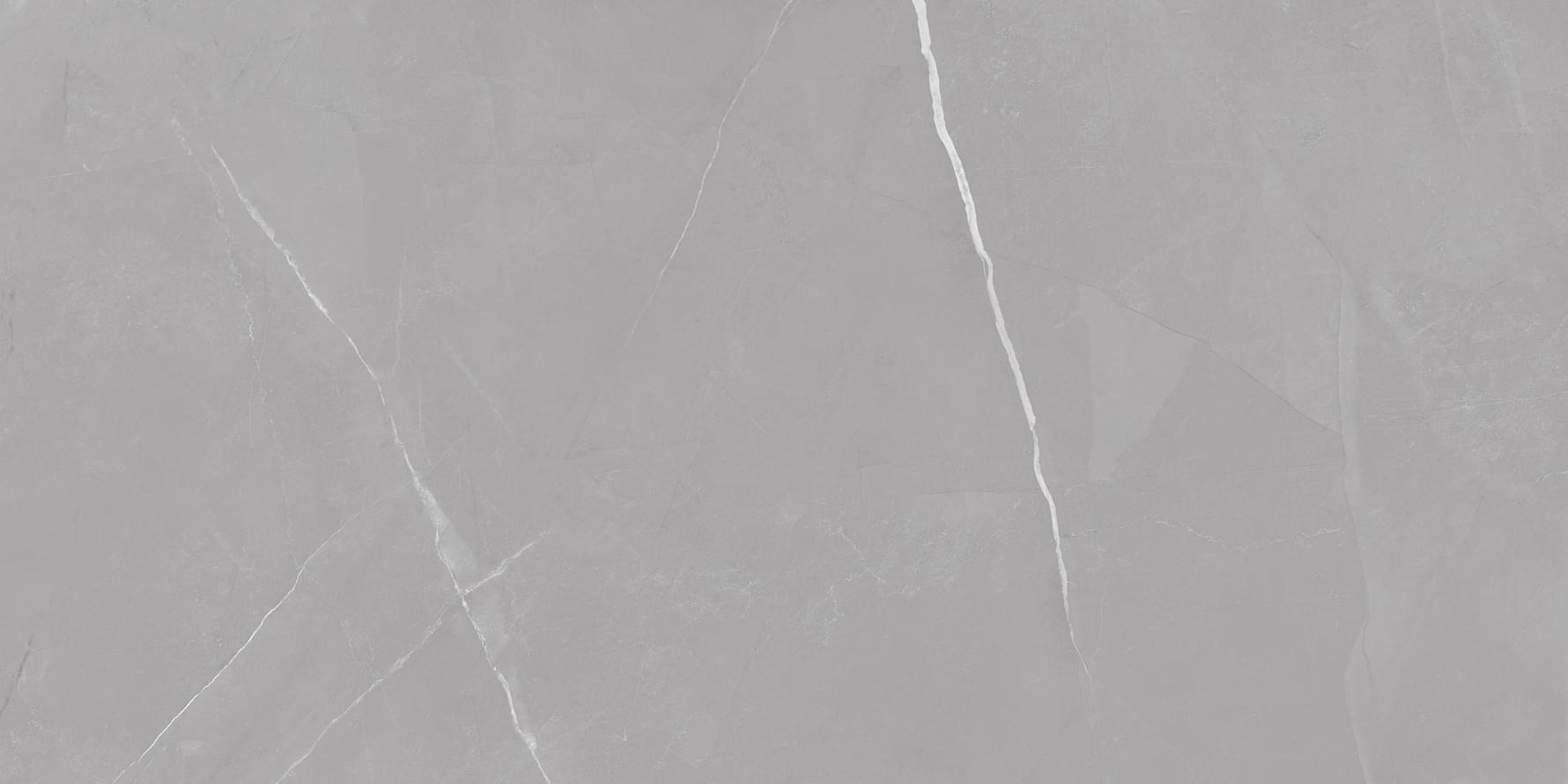 фон Stone Pietra Active Gray 60x120