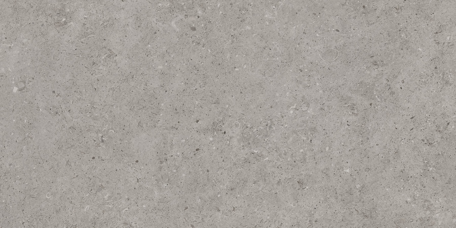 Beren Greige Ductile 60X120 