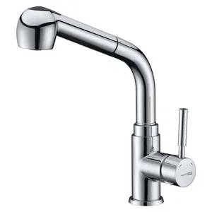 Смеситель WasserKRAFT Main 4166 для кухни с выдвижным изливом, хром