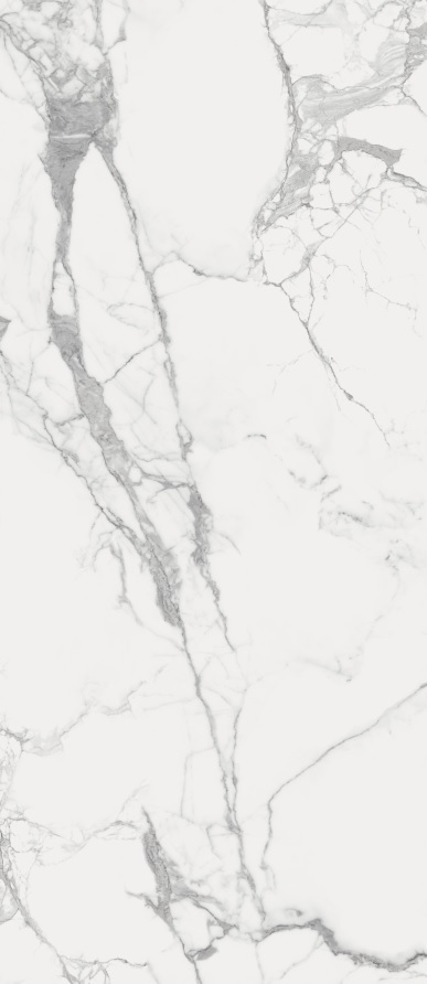 Charme Evo Statuario Lux 278X120 полированная