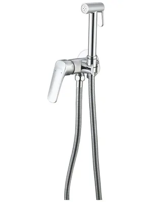 Смеситель Aquatek AQ1019CR встраиваемый, однозахватный, с гигиеническим душем, цвет: хром