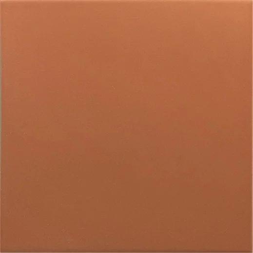 RIVOLI Terre 20x20 матовая