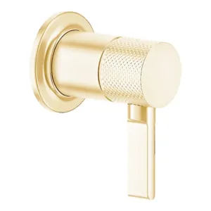 Смеситель Gessi 58109.246 для душа, встраиваемый, на 1 выход, внешняя часть, золото