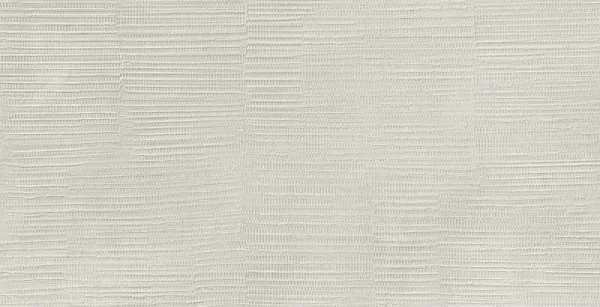 Multiforme Inciso Polvere Rt 80X40 матовая