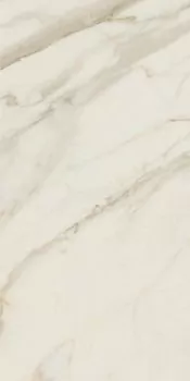 Anima Futura Golden White 120X60 матовая