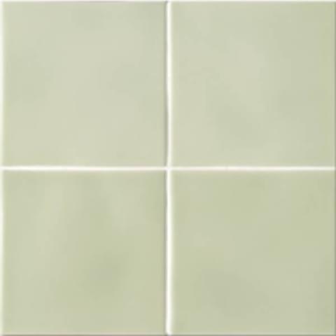 фон Essenze Felce 13x13