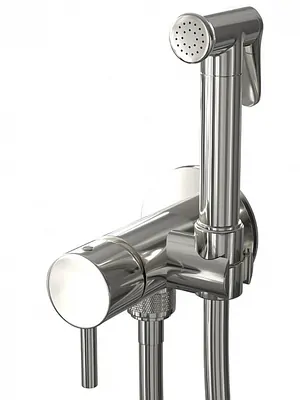 Смеситель ZEEGRES для биде монтируемый в стену, хром 30028001