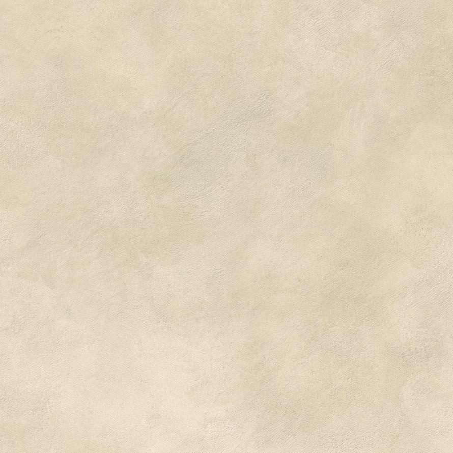 фон Boost Expression Camel 80x80