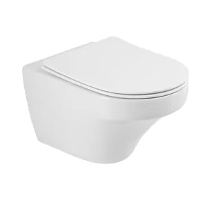 Унитаз подвесной Cezares 530х360х270 безобод.,с сиденьем, белый CZR-2462-TH-TOR+CZR-2040-SC