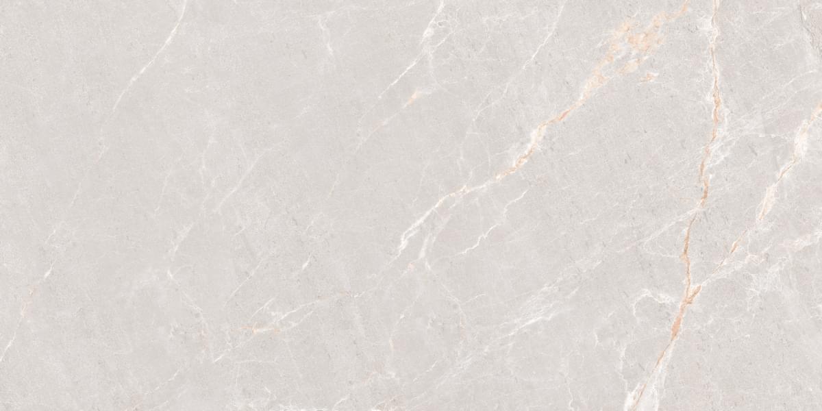 фон Marble Persian Grey Matt 60x120