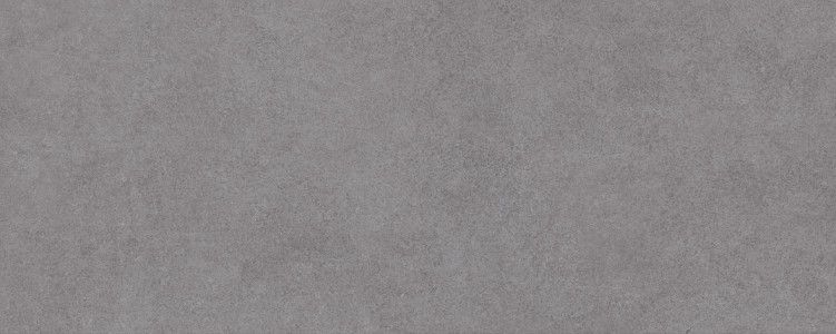 Betonhome Gray 20x50 матовая