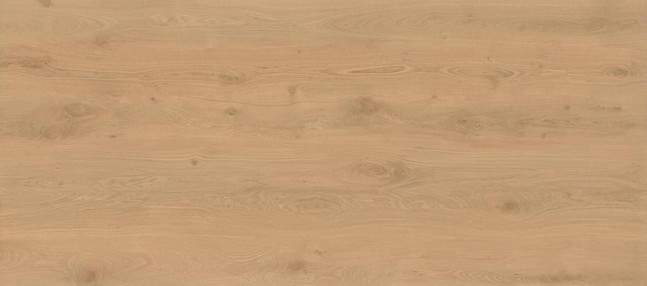 фон Log Icon Oak 6 mm 120x278