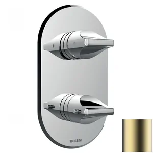 Смеситель для душа Bossini Z00500043 встраиваемый, термостат. 2-5 вых., внеш.часть сат. золото