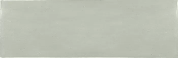 Village Mint  20X6.5 глянцевая