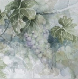 Monocolor Set Acuarela Uvas A 10X10 глянцевая