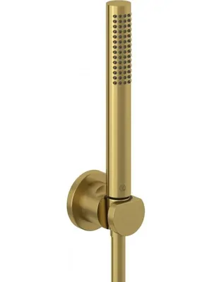 Душевой гарнитур KLUDI PURISTIC 1S для душа, лейка, держатель, золото матовое 20850N0-15