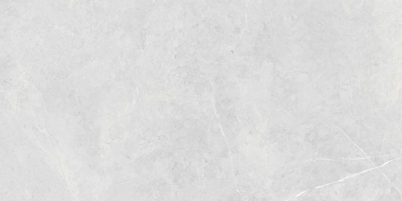фон Northon Light Grey Mt 60x120