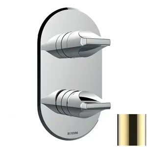 Смеситель для душа Bossini Z00501021 встраиваемый, на 2-5 выход., внеш.часть, золото