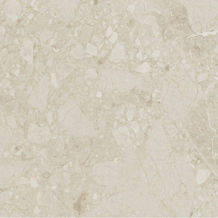 Arcana Ceramica Black&Cream ARC_88S5 Cream R Beach 59,3x59,3 матовая