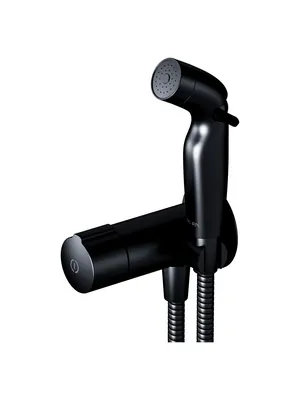 Смеситель AM.PM TouchReel встраиваемый, с гигиеническим душем, черный F0H85A522