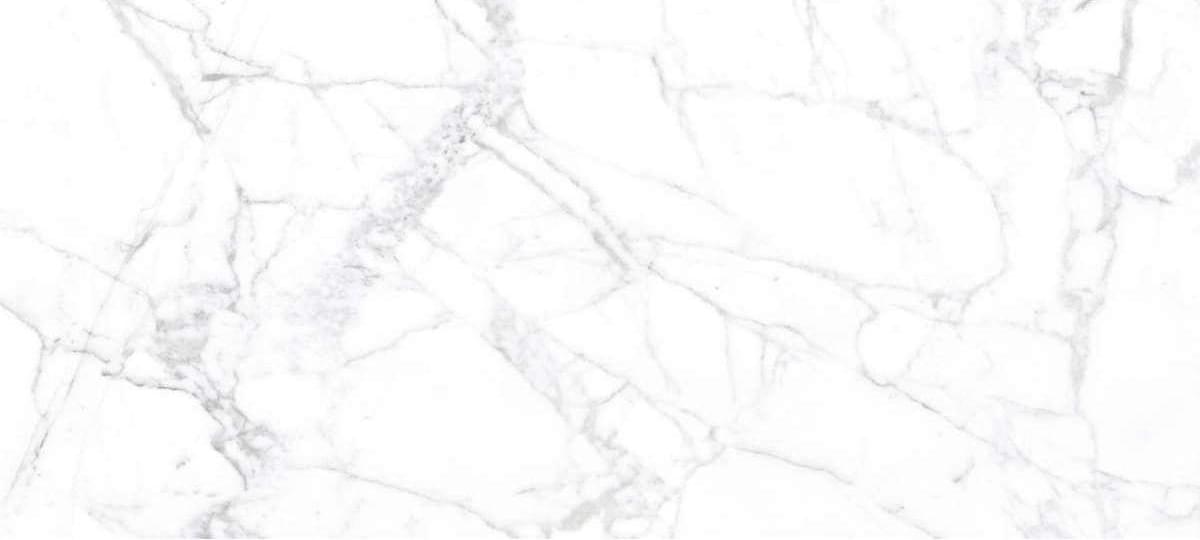 Origines De Rex Blanc 60x120 глянцевая