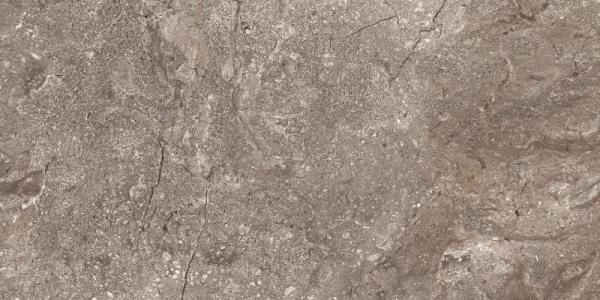 фон Porcelain Stone Grey Polished 60x120