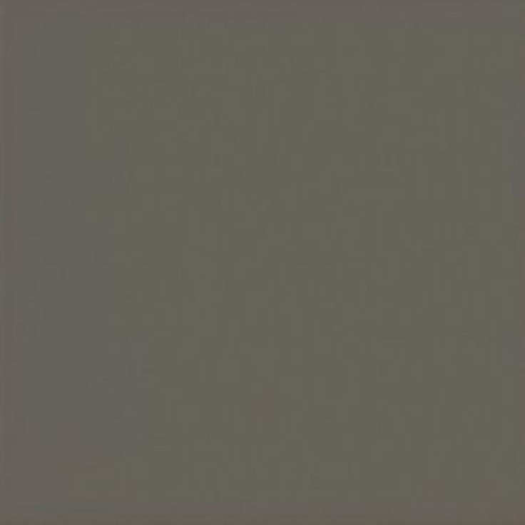 Equipe Evolution 20899 Gris Oscuro Brillo 15x15 глянцевая