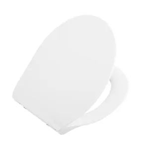 Сиденье для унитаза BelBagno Slim тонкое, с микролифтом, белое BB2020SC