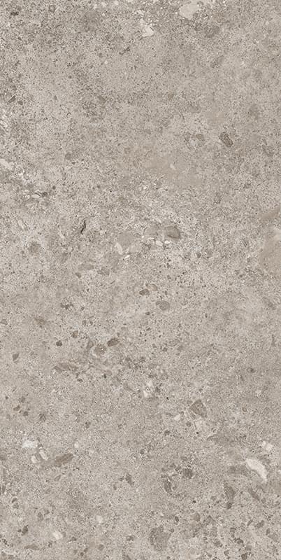 фон Bierzo Gris Seda 60x120