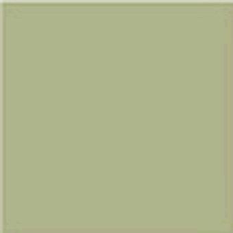 фон Monocolor Musgo 20x20