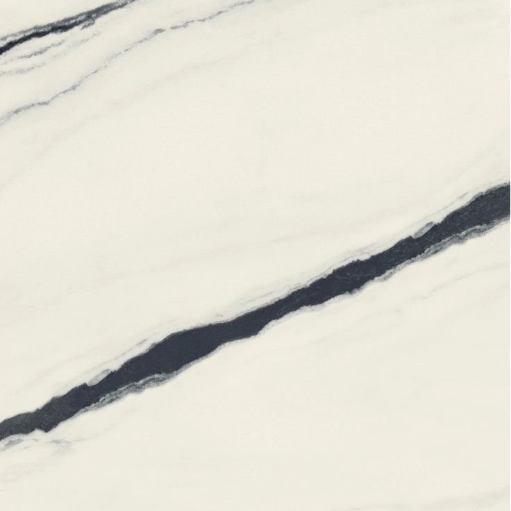 Atlas Concorde Russia Forte Dei Marmi 600010002406 Panda White Matt Rett 120x120 матовая