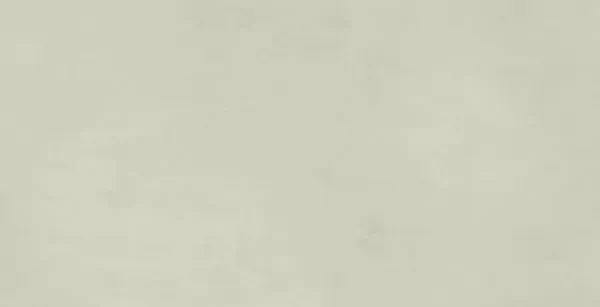 Multiforme Salvia Rt 80X40 матовая