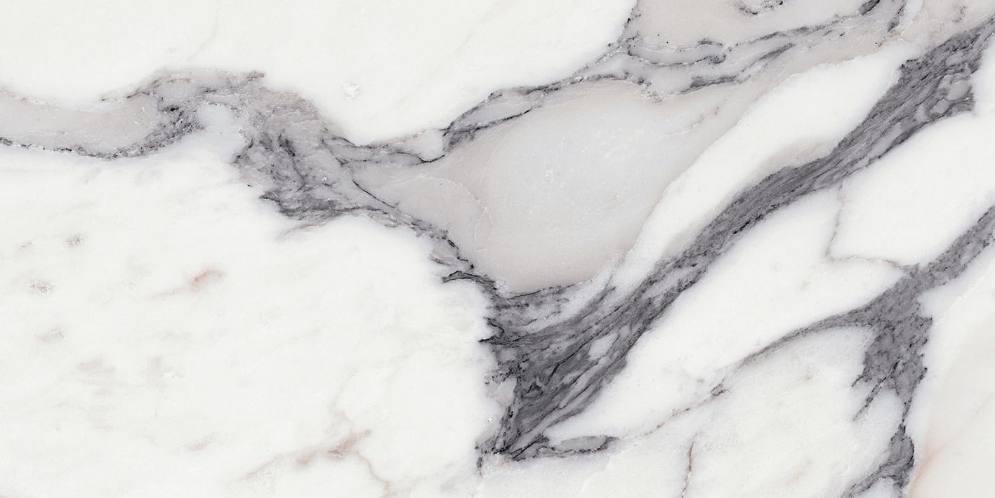 Origines De Rex Argent 60x120 глянцевая