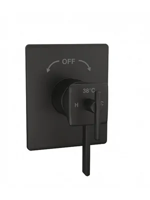 Смеситель ZEEGRES для ванны/душа встраиваемый термостат, матовый черный 30027014