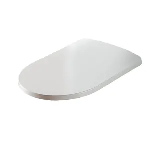 Крышка-сиденье Artceram для унитаза, тонкое, быстросъемное, микролифт, белый MNA001 01 71