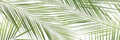 Brennero Tropic 50X75 глянцевая