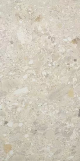 Ceppo Di Gres Avorio Rett 120X60 матовая