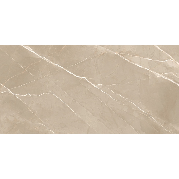 New Trend Essential 60120ESE21P Marron Полированный 60x120 глянцевая