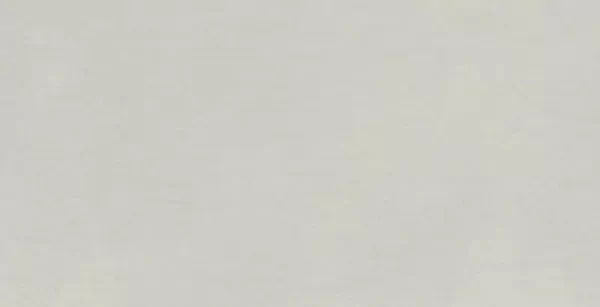 Multiforme Polvere Rt 80X40 матовая