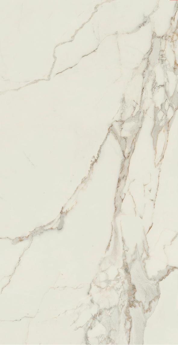 Marmo E Pietra Calacatta Oro Slab B 163X323