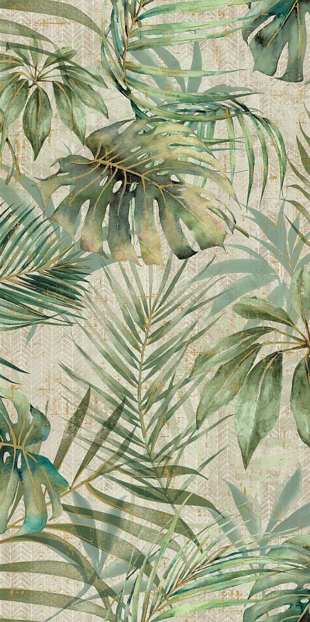 Imagine Paradise Imgn 60X120 матовая