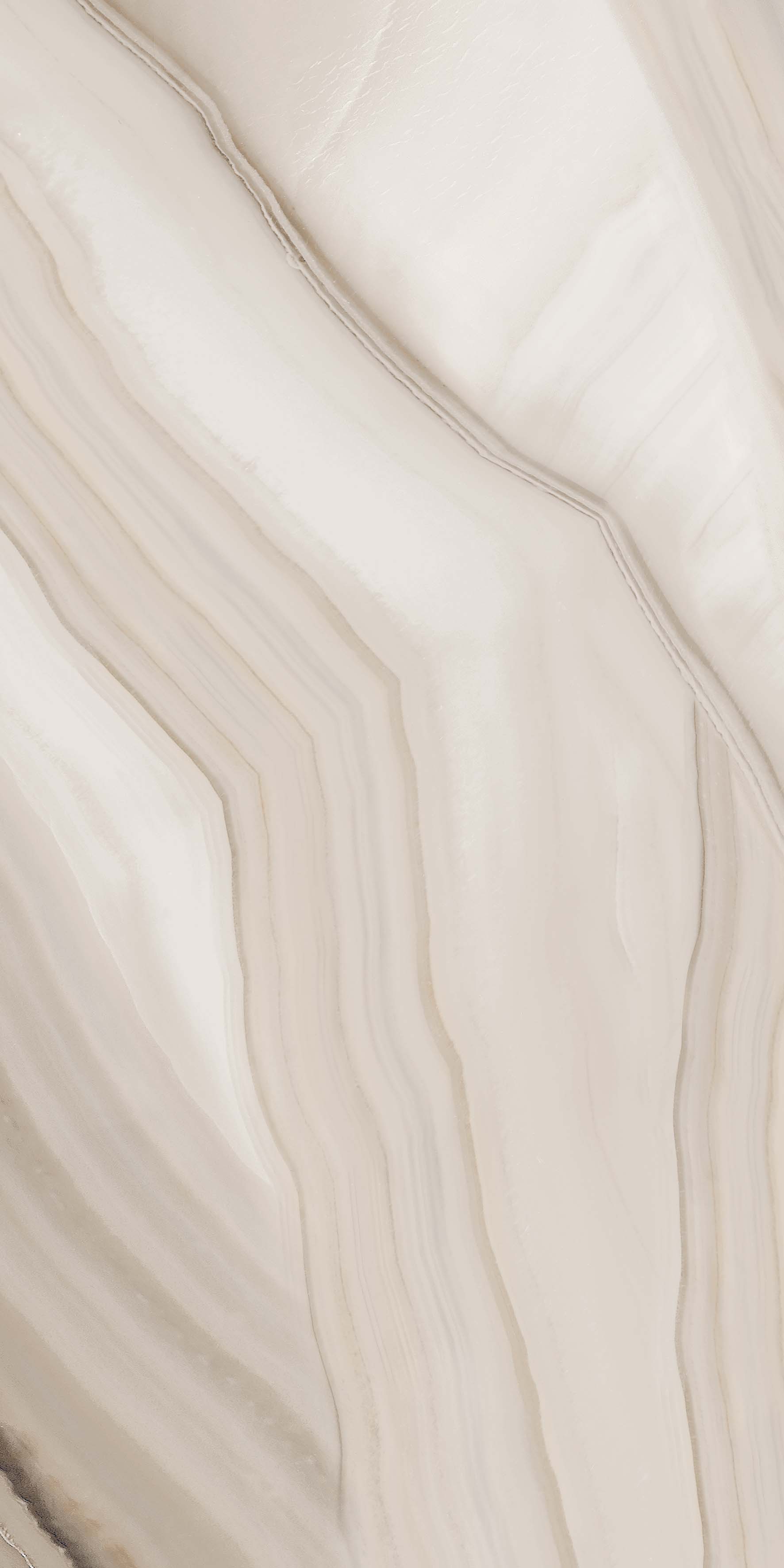 Cornalina Brown Polished 120X60 полированная