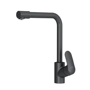 Смеситель AM.PM для кухни F8005722 с каналом для питьевой воды, L-излив, черный матовый